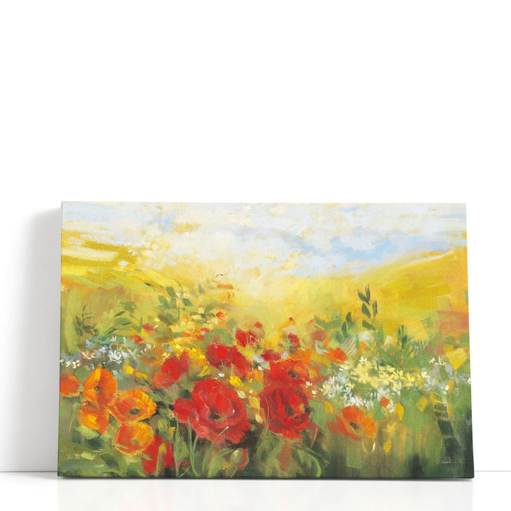 Oriental Poppy Field - Canvas Print Wall Art