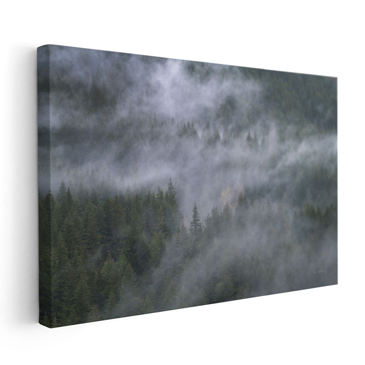 Misty Mountains North Cascades - Canvas Print Wall Art