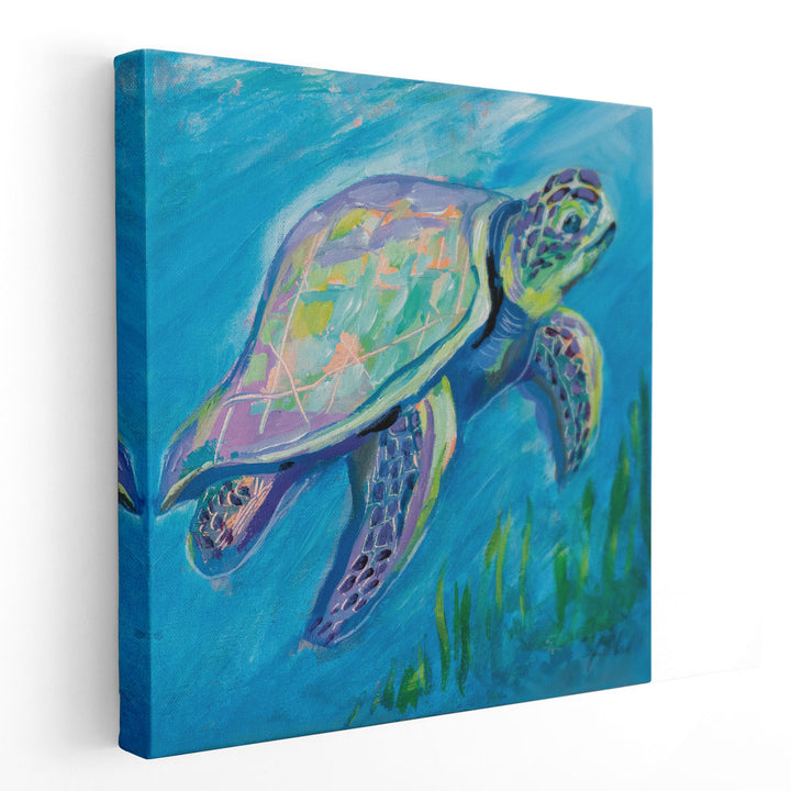 Sea Turtle Swim - Canvas Print Wall Art