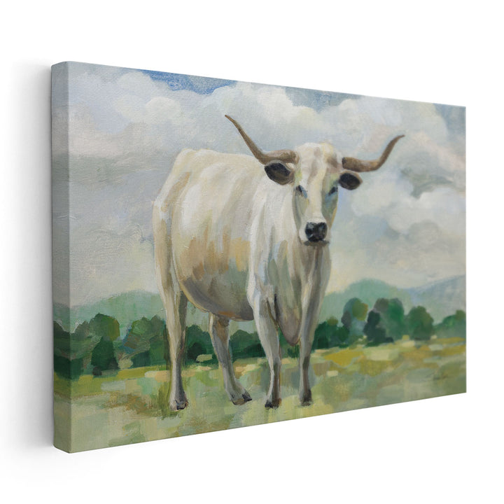 White Longhorn Cow - Canvas Print Wall Art