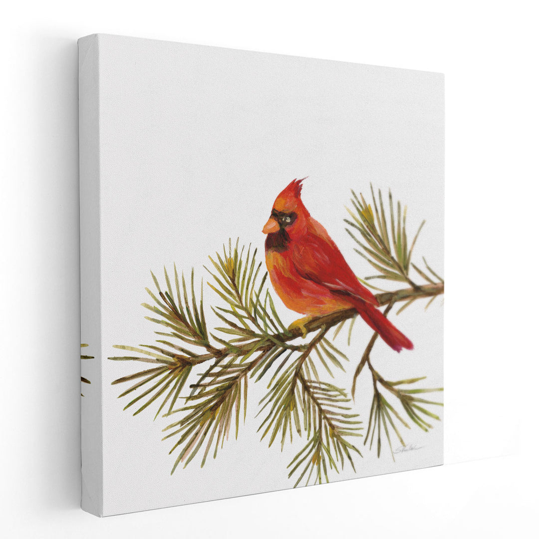 Cardinal Christmas V - Canvas Print Wall Art