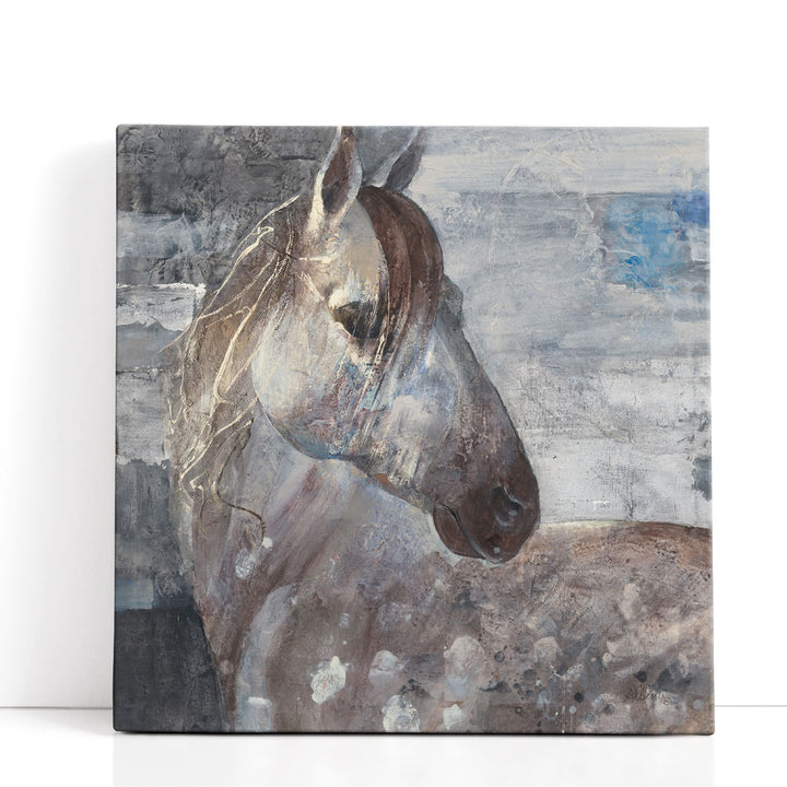 Appaloosa - Canvas Print Wall Art