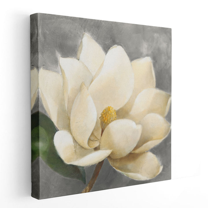 Magnolia Blossom - Canvas Print Wall Art