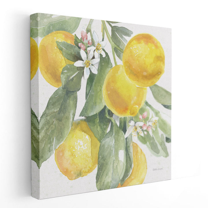 Citrus Charm Lemons II - Canvas Print Wall Art