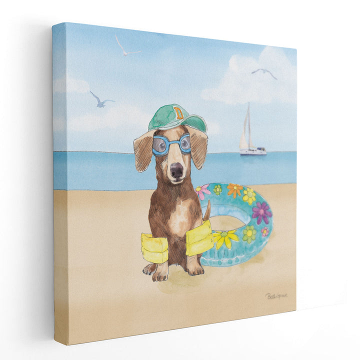 Summer Paws III - Canvas Print Wall Art