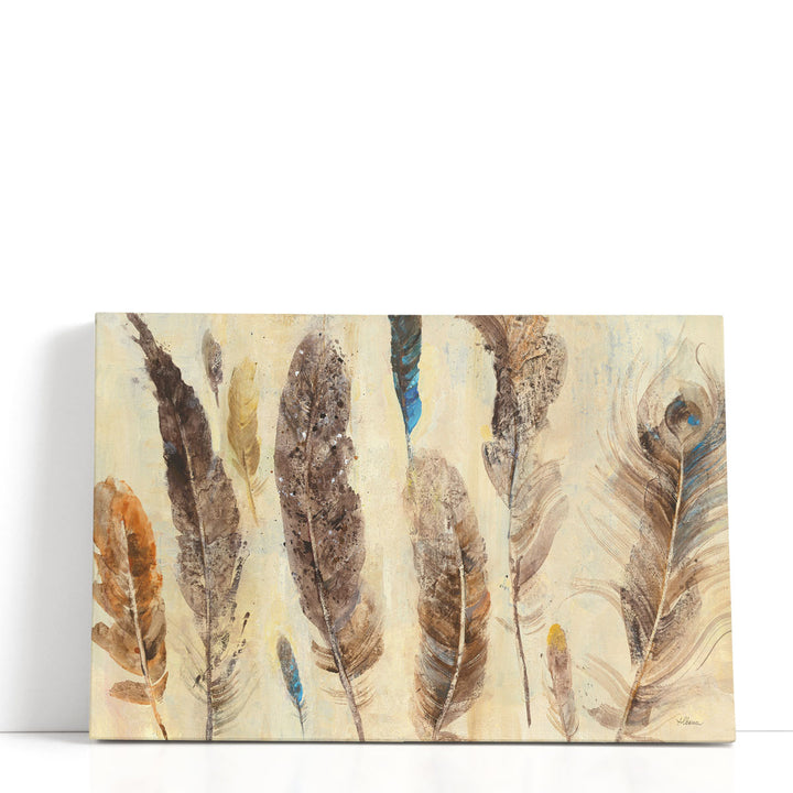 Feather Study - Canvas Print Wall Art