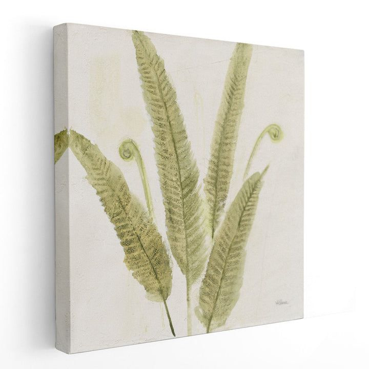 Forest Ferns II - Canvas Print Wall Art