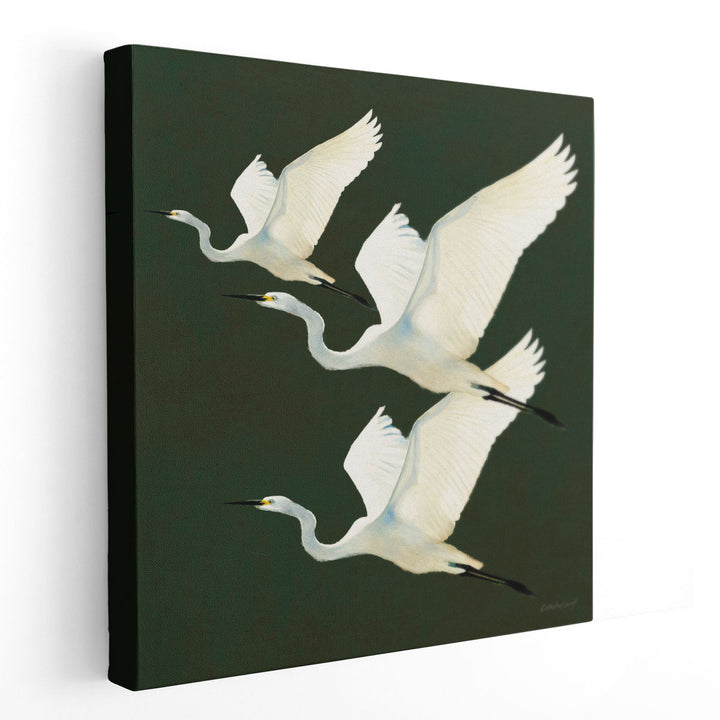 Egrets Alighting II - Canvas Print Wall Art