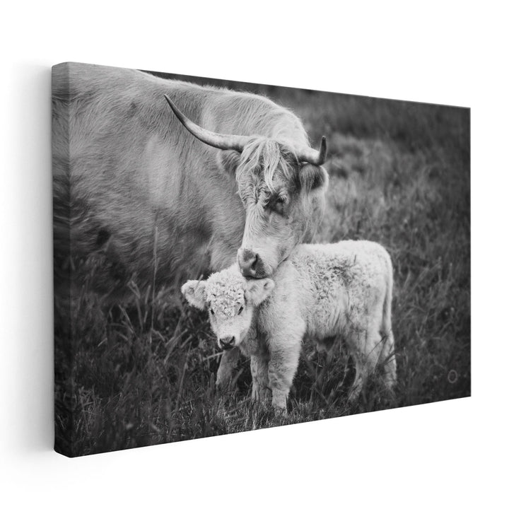 Cow Care Black and White - Canvas Print Wall Art