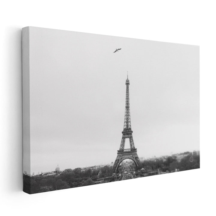 A Birds View of Paris Black and White - Canvas Print Wall Art