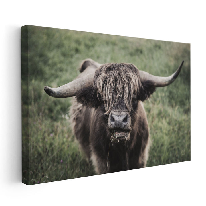 What - Canvas Print Wall Art