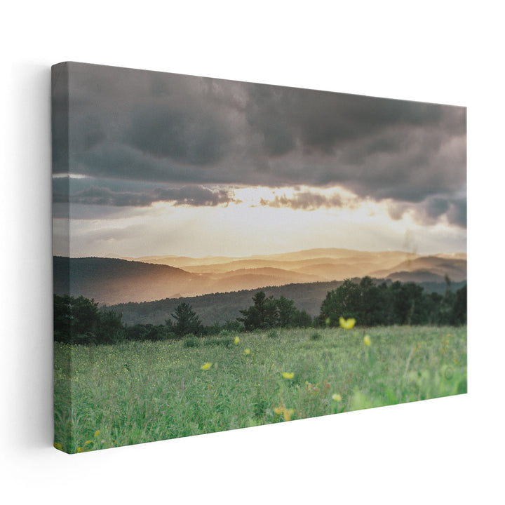 Laying in the Flowers - Canvas Print Wall Art