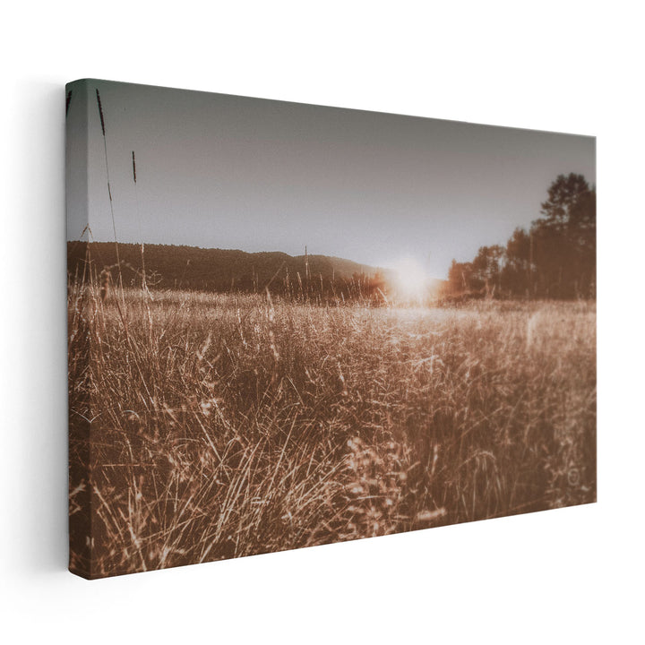 Fields of Gold - Canvas Print Wall Art