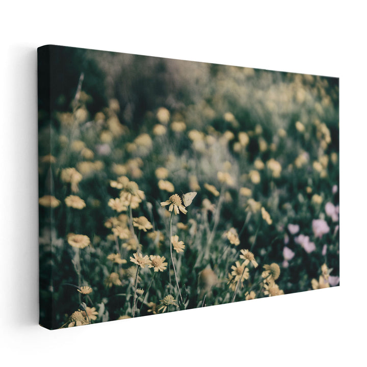 Field Friends Fade - Canvas Print Wall Art