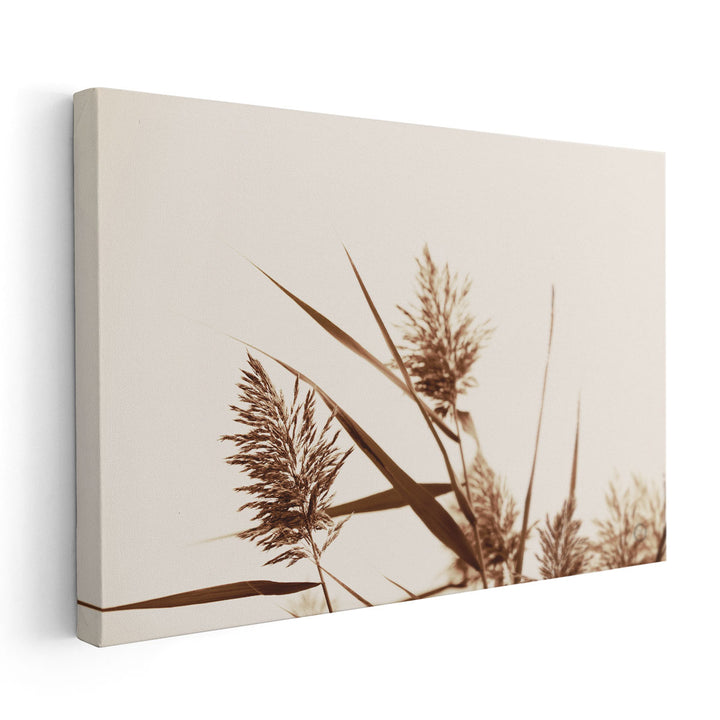 Country Grasses I - Canvas Print Wall Art