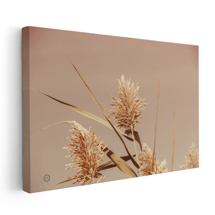 Noon Grasses III - Canvas Print Wall Art