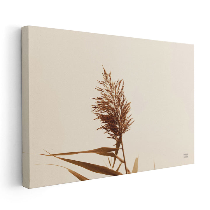 Summer Reeds I - Canvas Print Wall Art