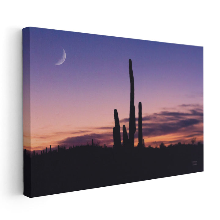 Desert Moons - Canvas Print Wall Art