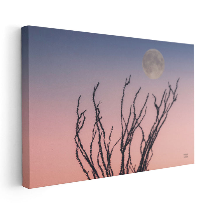 Reaching Up Moon - Canvas Print Wall Art