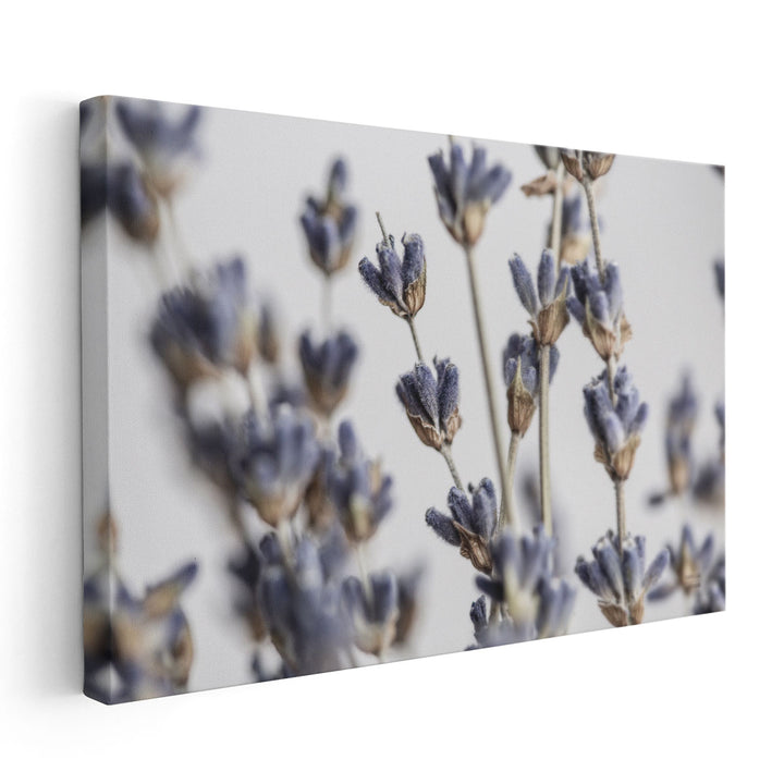 Lavender  Bouquet - Canvas Print Wall Art