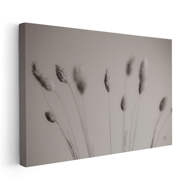 Natural Grasses - Canvas Print Wall Art