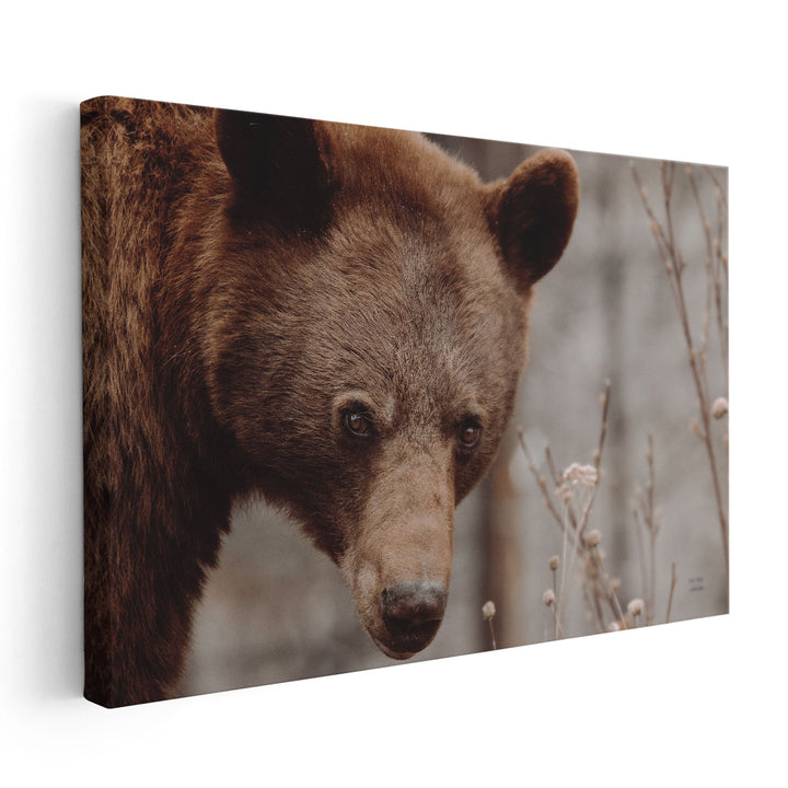 Bear Profile II - Canvas Print Wall Art