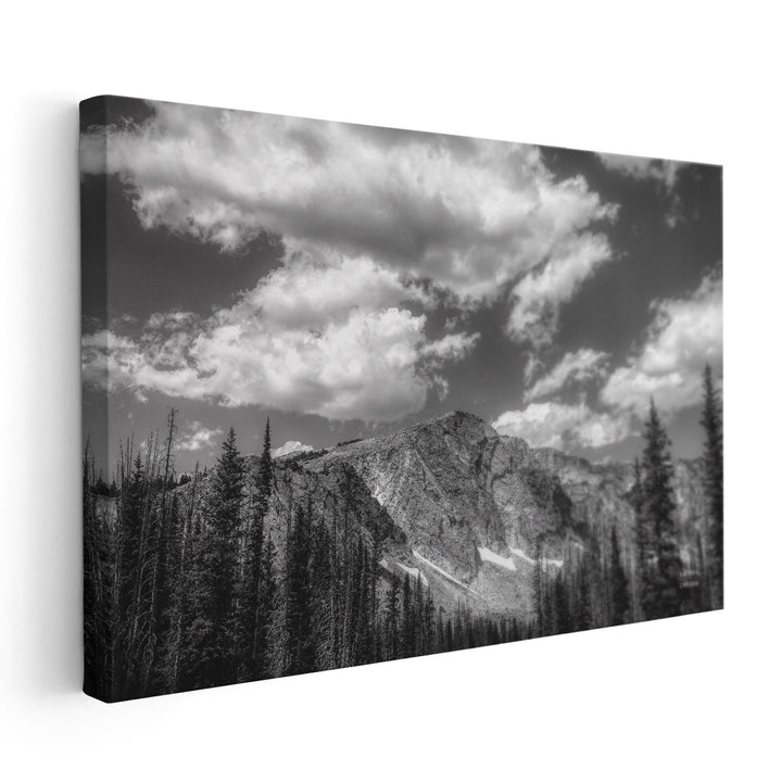 Wyoming Blues Black and White - Canvas Print Wall Art