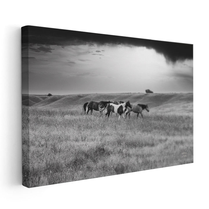 Sunset Rains - Canvas Print Wall Art