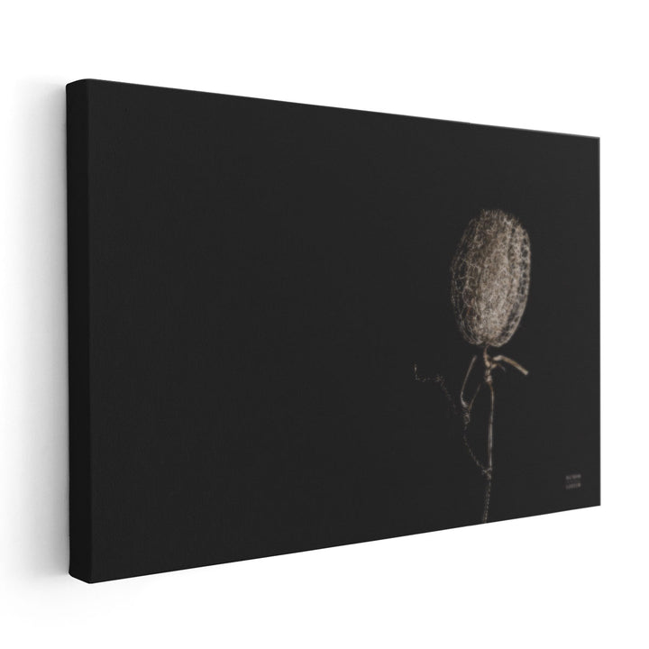 The Flower - Canvas Print Wall Art