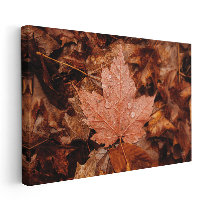 Fall Rains I - Canvas Print Wall Art