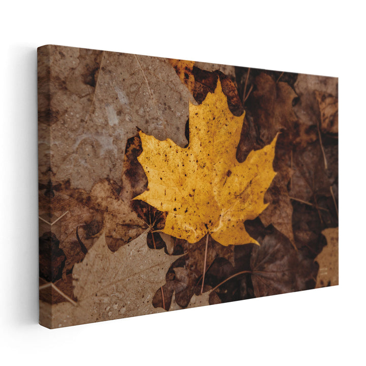 Fall Rains II - Canvas Print Wall Art