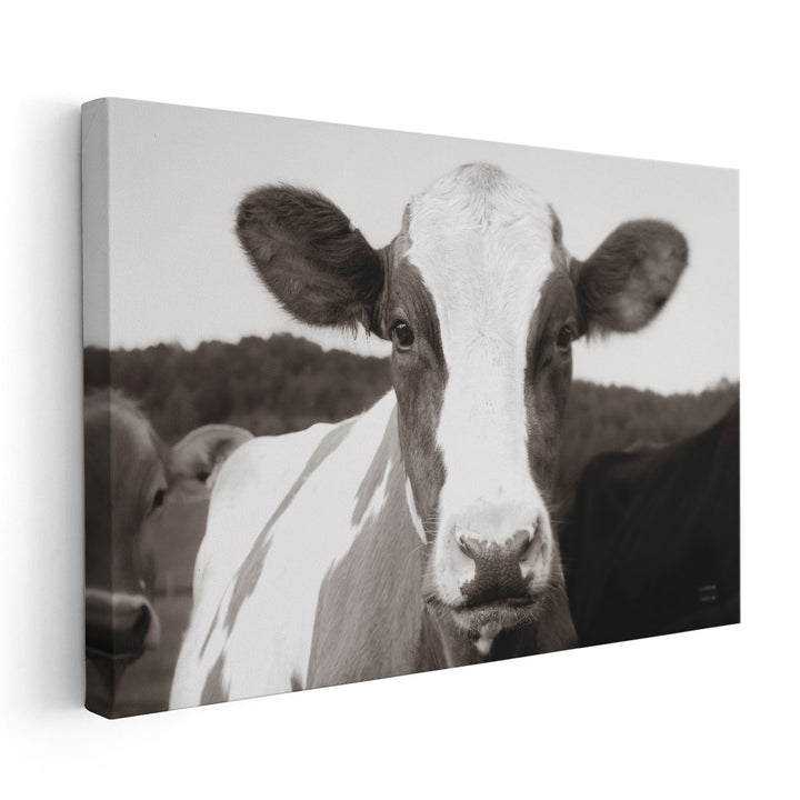 At the Barn Black and White - Canvas Print Wall Art