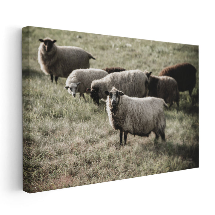 Pastures - Canvas Print Wall Art