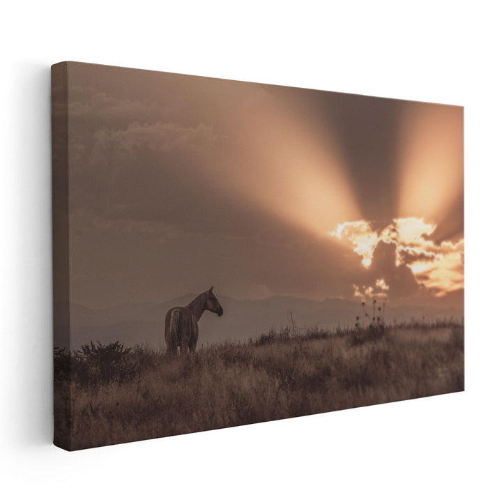 Faded Sunset - Canvas Print Wall Art