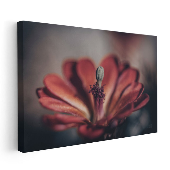 Elevation Bloom - Canvas Print Wall Art