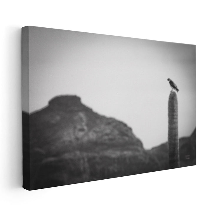 Desert Hunter Black and White - Canvas Print Wall Art