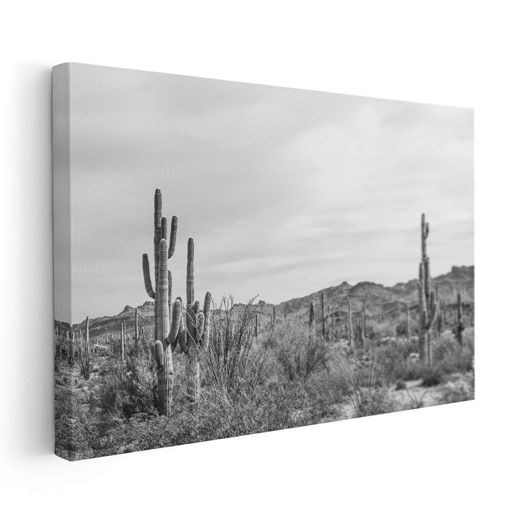 Sonoran Wonderland Black and White - Canvas Print Wall Art