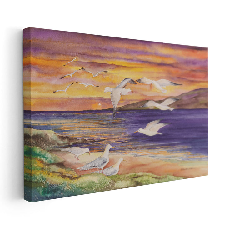 Seagull Sunset - Canvas Print Wall Art