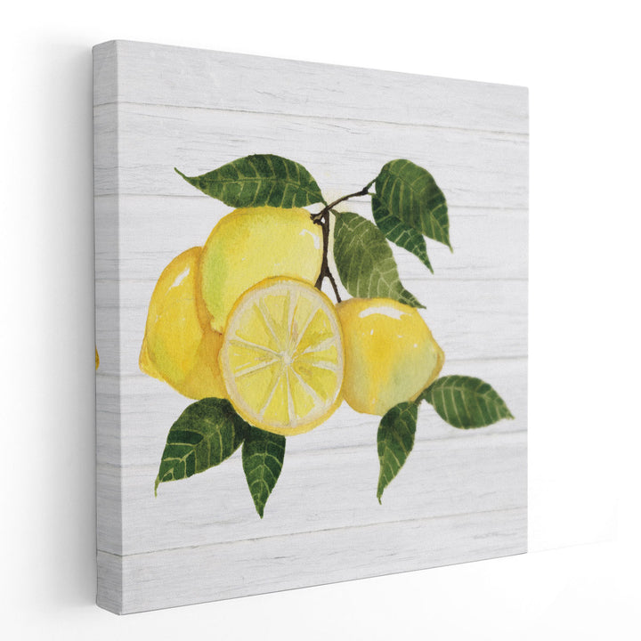 Citrus Garden VI Shiplap - Canvas Print Wall Art