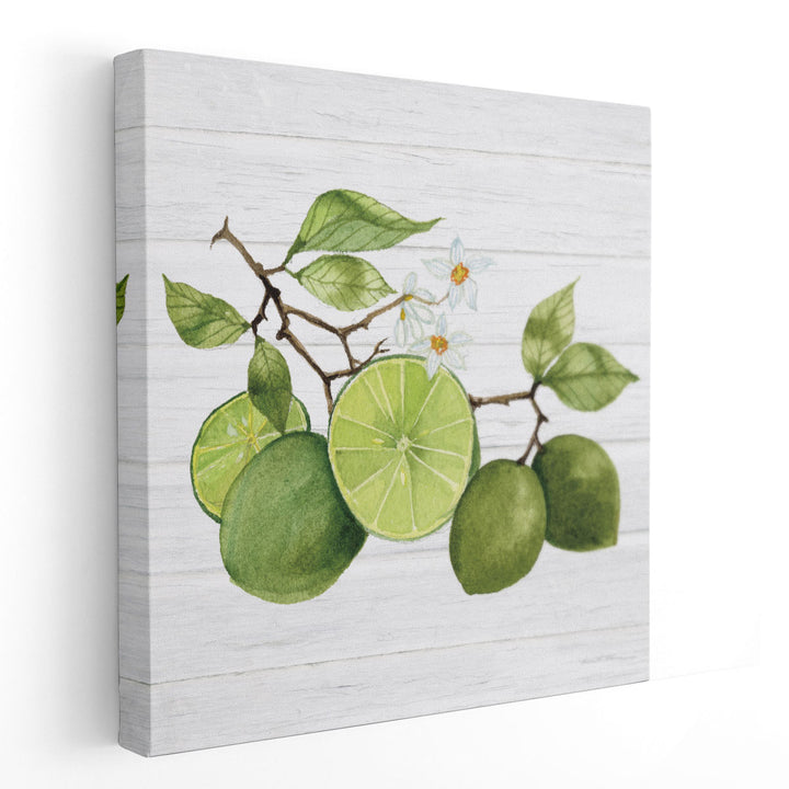 Citrus Garden VII Shiplap - Canvas Print Wall Art