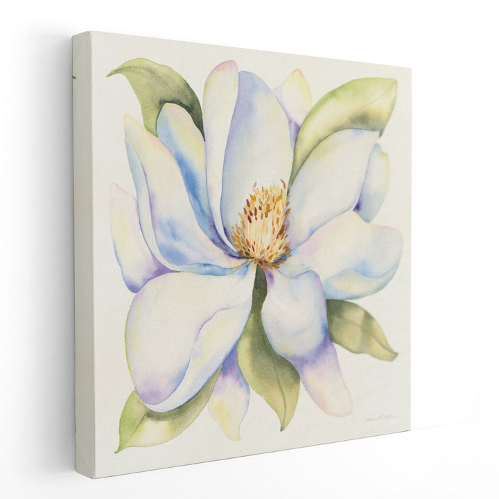 Magnolia - Canvas Print Wall Art