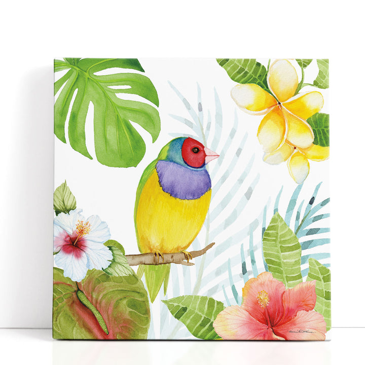 Treasures of the Tropics V - Canvas Print Wall Art