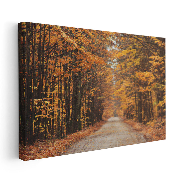 Autumn Country Road - Canvas Print Wall Art