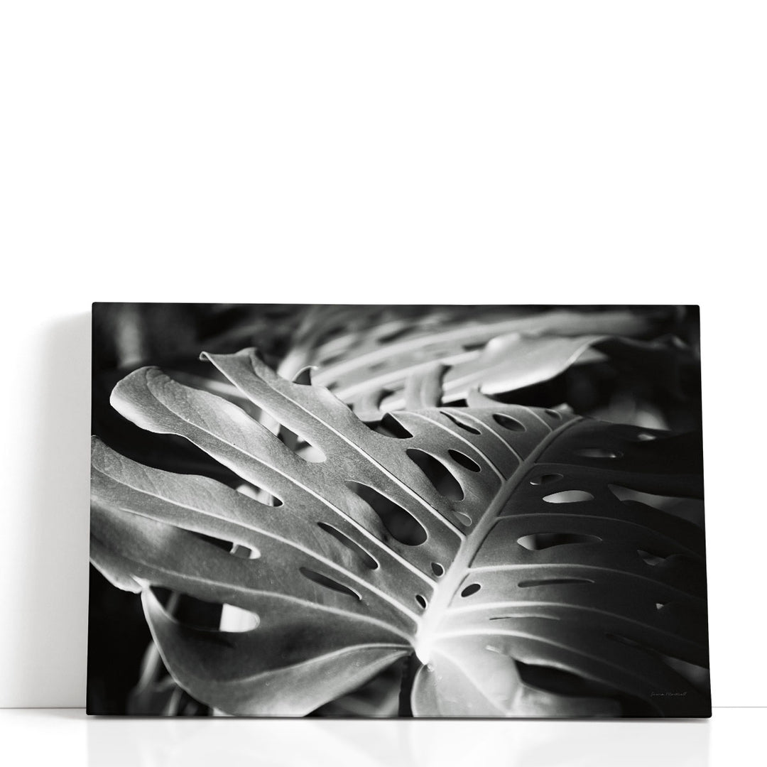 philodendron print Philodendron Black and White