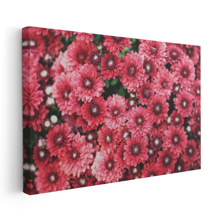 Autumn Flowers I - Canvas Print Wall Art