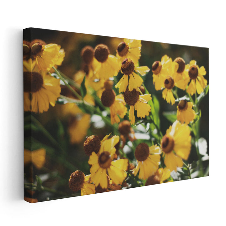 Autumn Flowers II - Canvas Print Wall Art