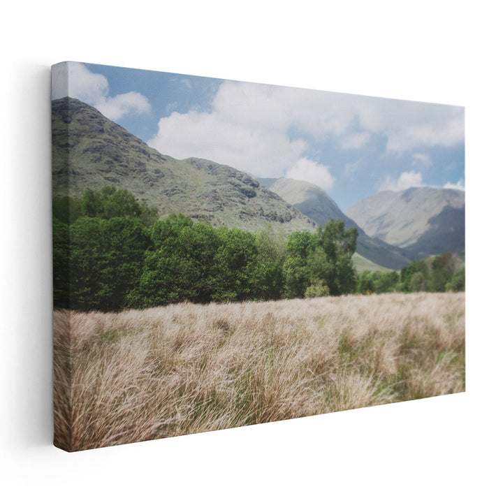 Scottish Highlands III - Canvas Print Wall Art