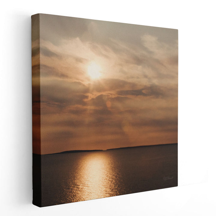 Morning Spotlight 2 - Canvas Print Wall Art