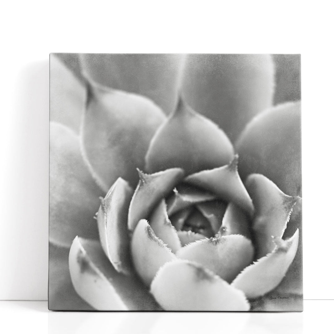 black and white succulent prints Garden Succulent III Art Print