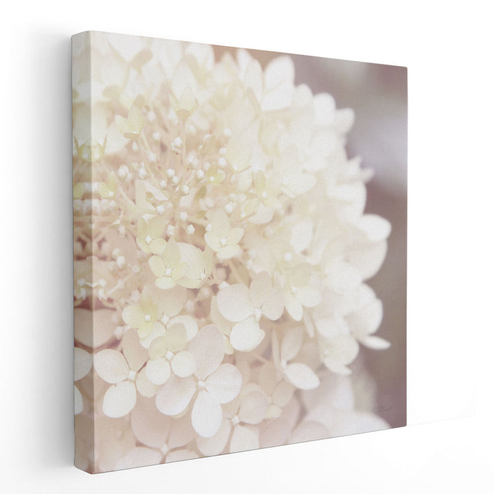 Hydrangea Dream I - Canvas Print Wall Art